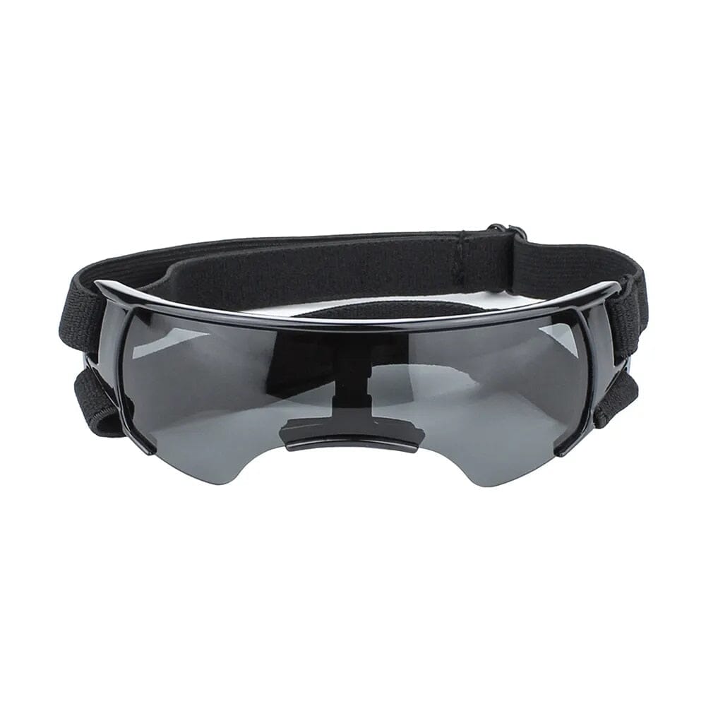 Trendy Pet Sunglasses Sunglasses USAdrop 