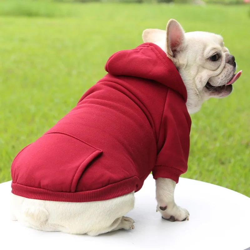 Paw Pocket Cozy Hoodie