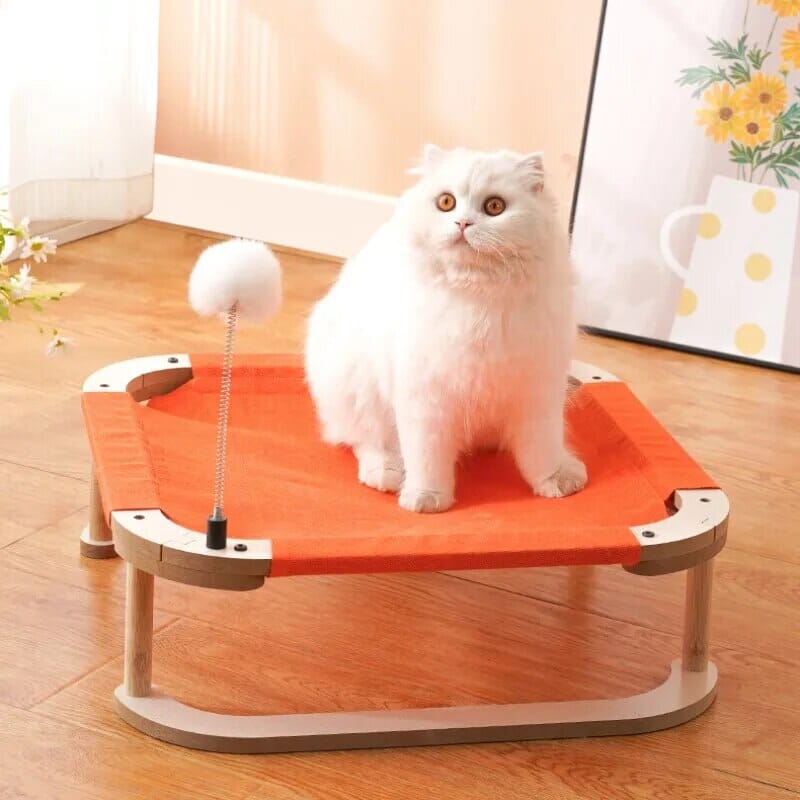 Cozy Paws Pet Bed Cat Bed USAdrop 