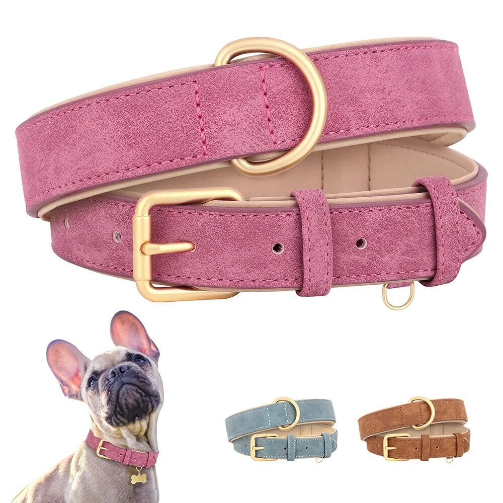 Pawfect Pup Collar Collar USAdrop 