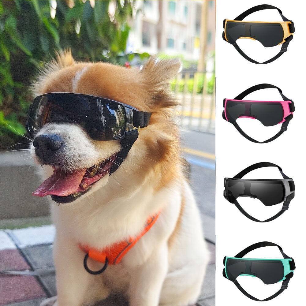 Trendy Pet Sunglasses Sunglasses USAdrop 