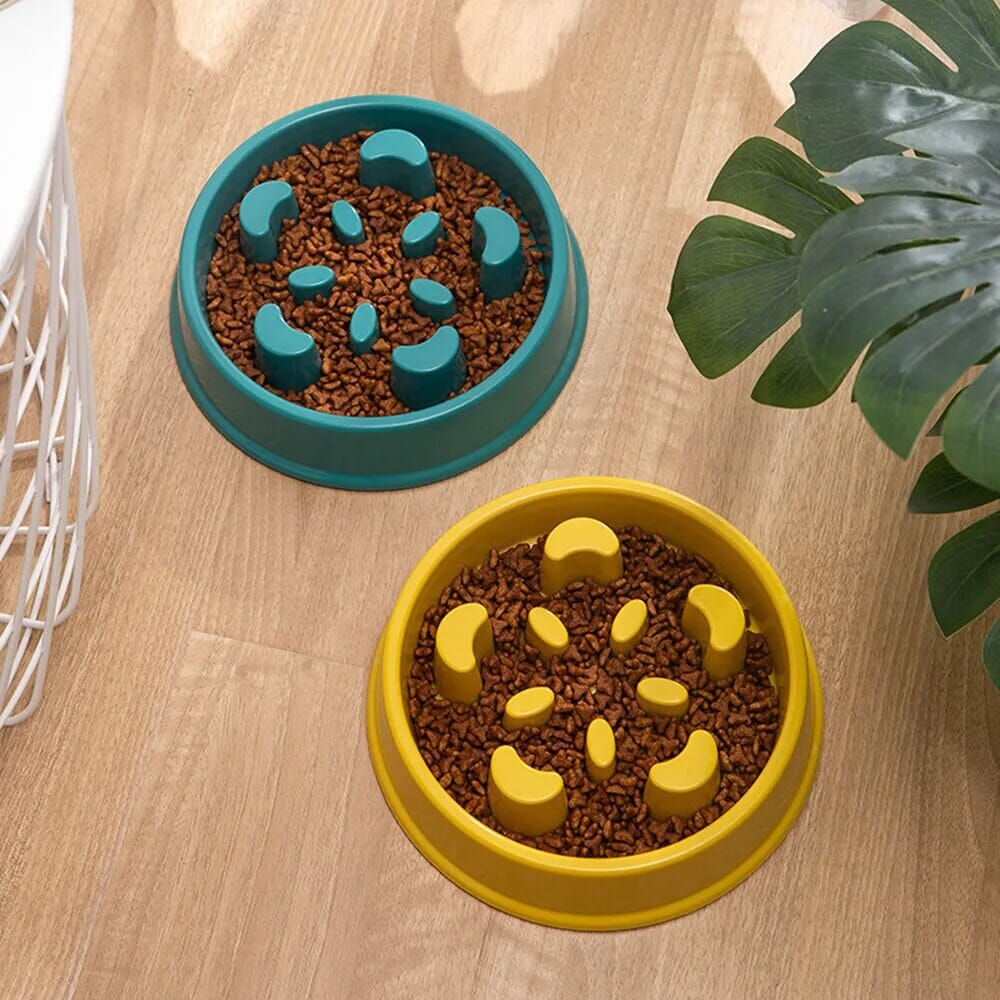 Non-Slip Food Feeder bowl USAdrop 