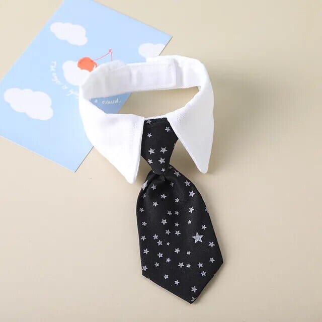 Pet Formal Collar Tie USAdrop Black Star S 