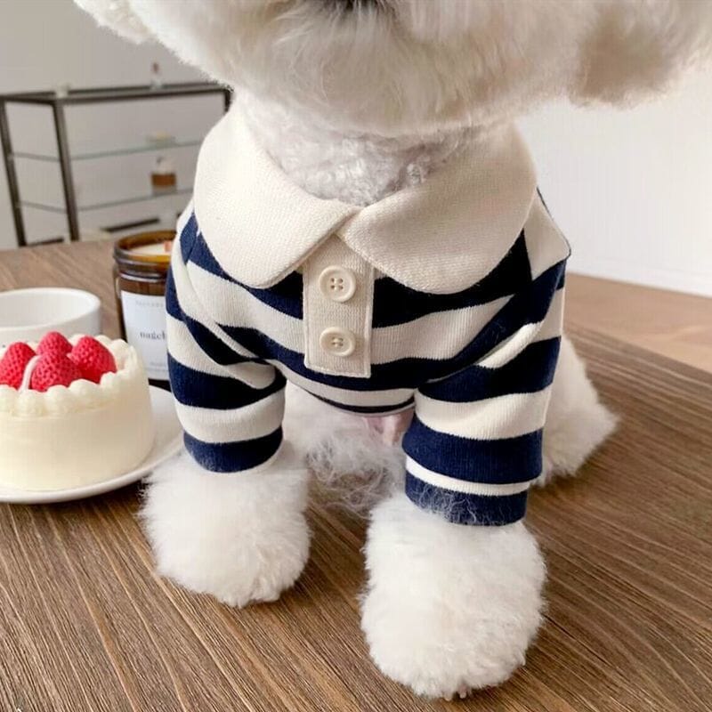 Adorable Puppy Polo Dog Clothing Luxe Pet Store 