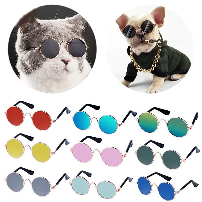 Cool Pet Glasses Sunglasses USAdrop 