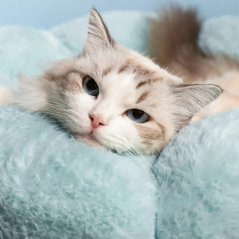 Blossom Nest Cat Bed