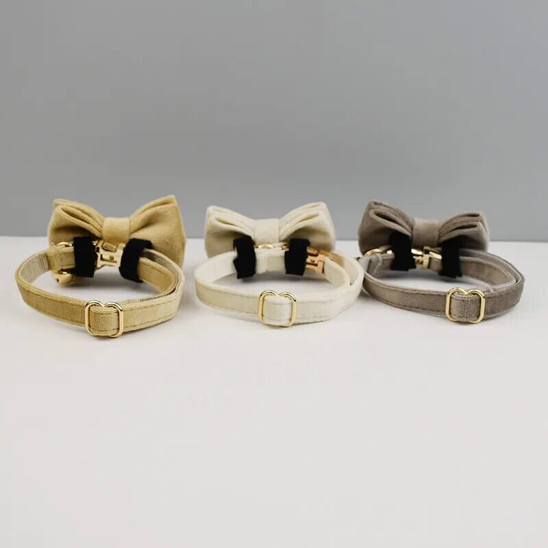 Custom Velvet Collar Velvet Cat Collar USAdrop 