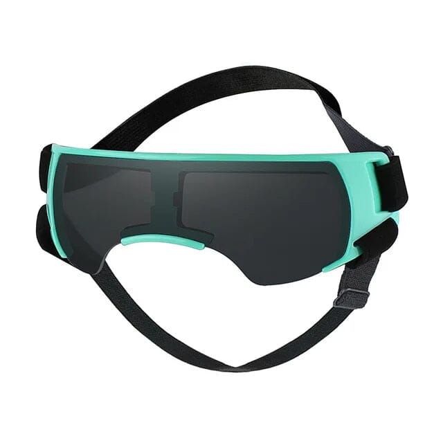 Trendy Pet Sunglasses Sunglasses USAdrop Aqua 