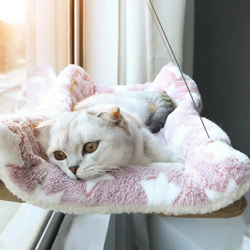 Suction Paws Cat Hammock Cat Bed USAdrop 