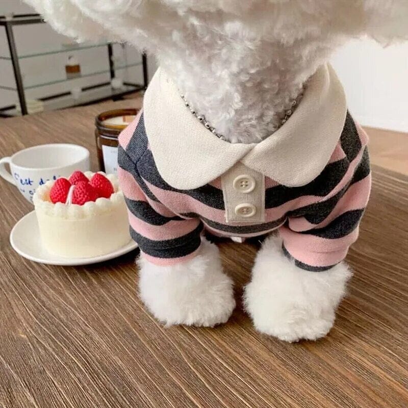 Adorable Puppy Polo Dog Clothing Luxe Pet Store 