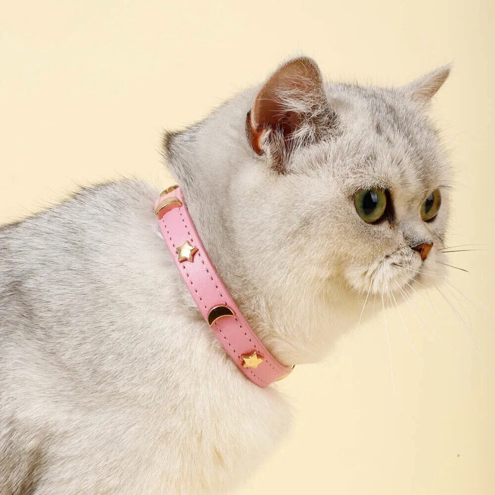 Star Moon Pet Collar Pet Collar USAdrop 