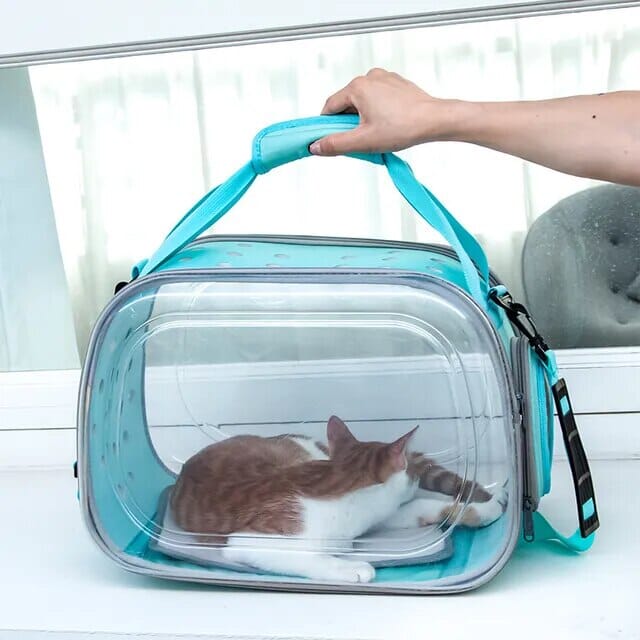 Clear Pet Carrier Pet Carrier USAdrop Blue 