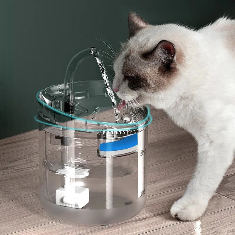 Purraqua Cat Water Fountain Cat Toy USAdrop 